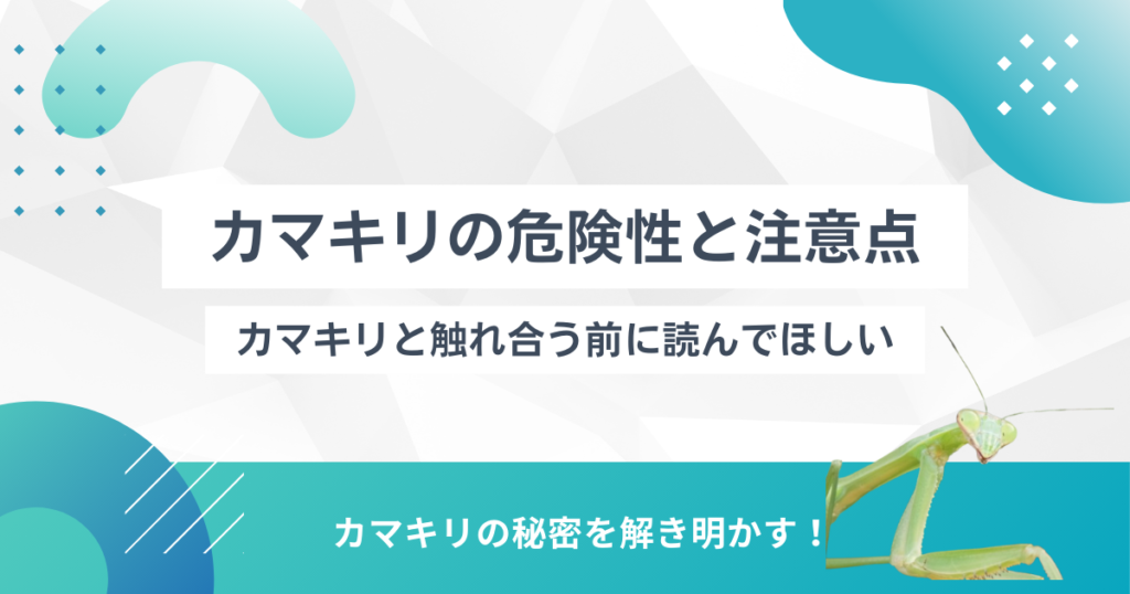 カマキリの捕まえ方は素手で！正しい持ち方や鎌は噛まれると痛い・手が切れるのか検証